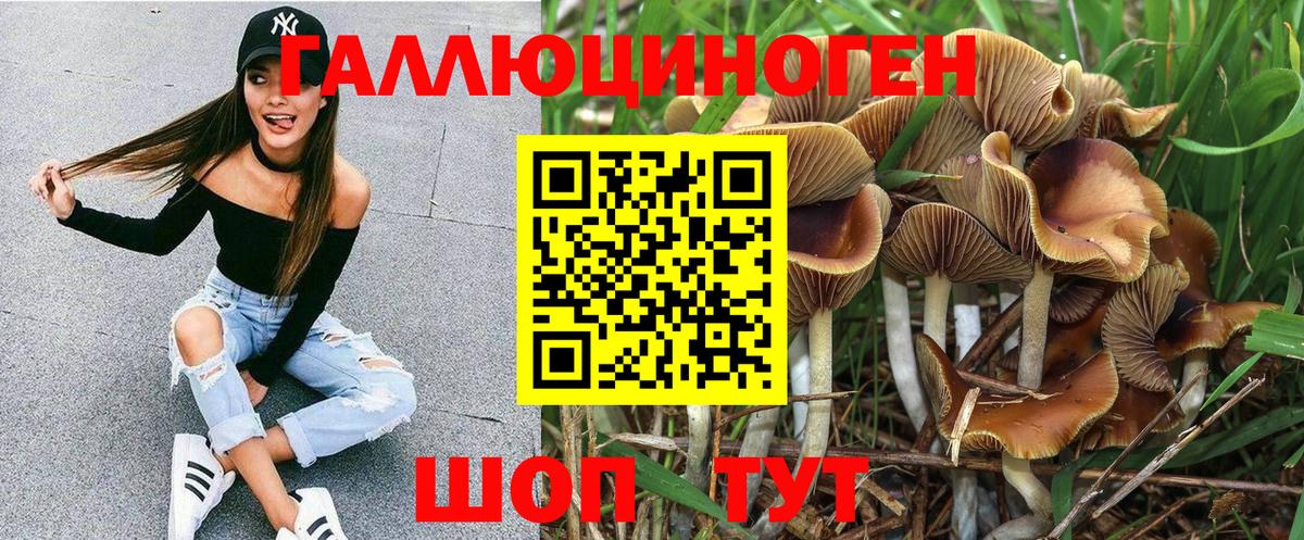 Коломна  Псилоцибиновые грибы ЛСД  Вход с VPN 