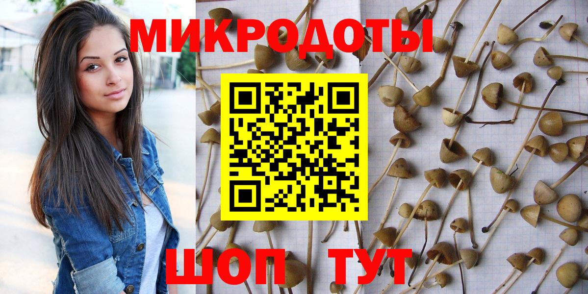 Галлюциногенные грибы мицелий Коломна